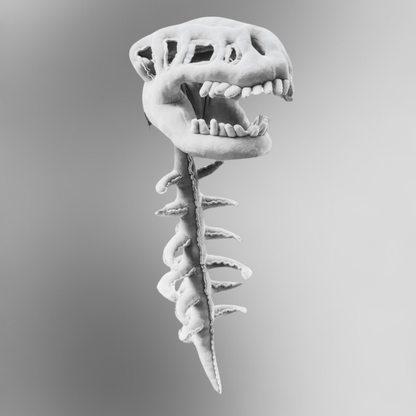 Silly Dino Skeleton Plush - Playheroes