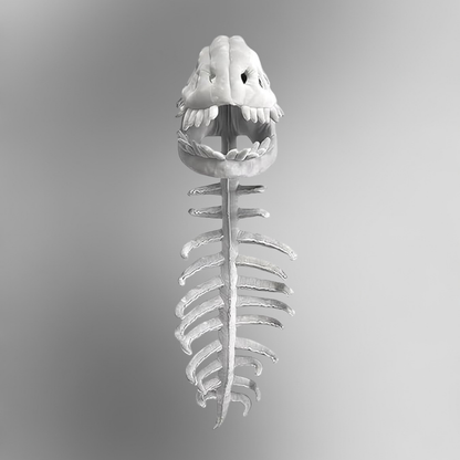 Silly Dino Skeleton Plush - Playheroes